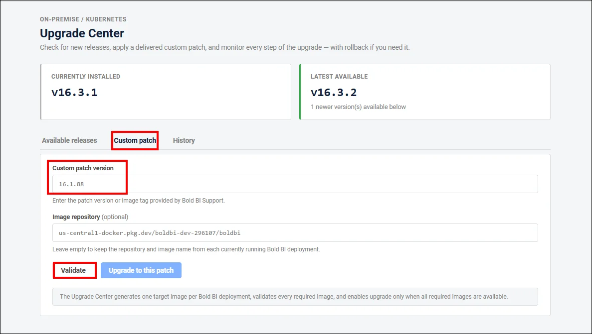 Custom Patch tab showing patch version validation and upgrade options