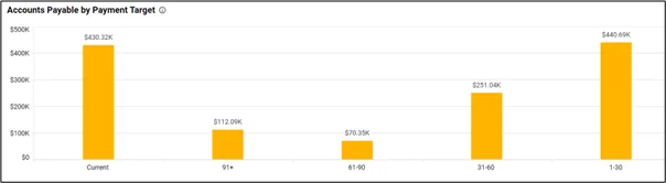 Accounts Payable by Payment Target