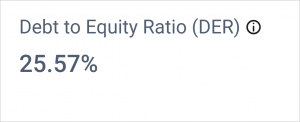 Debt-to-Equity Ratio (DER) 
