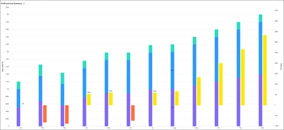 Profit and loss summary