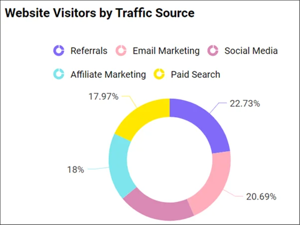 Website Visitors by Traffic Source