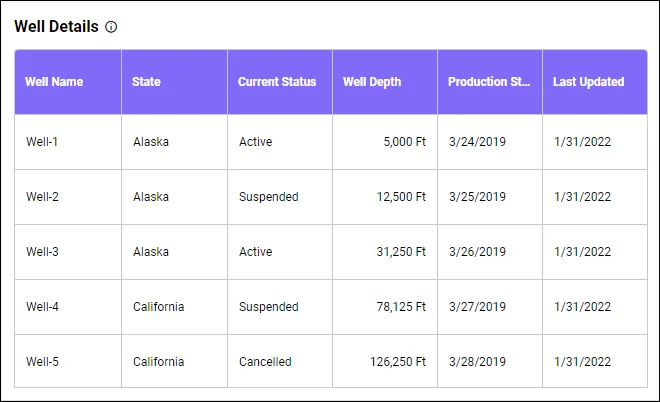Well Details—Oil and Gas Well Summary Dashboard