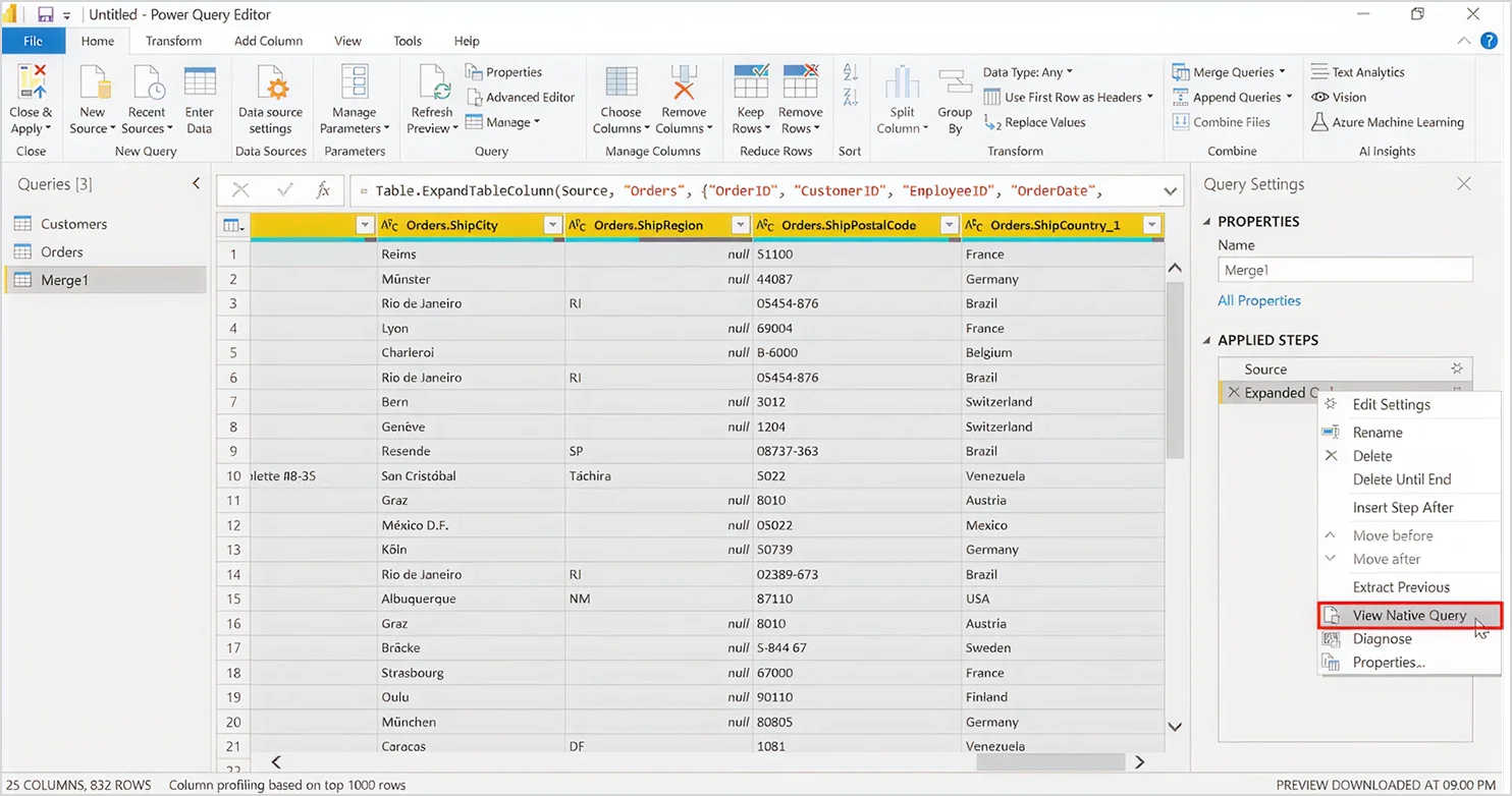 View Native Query option