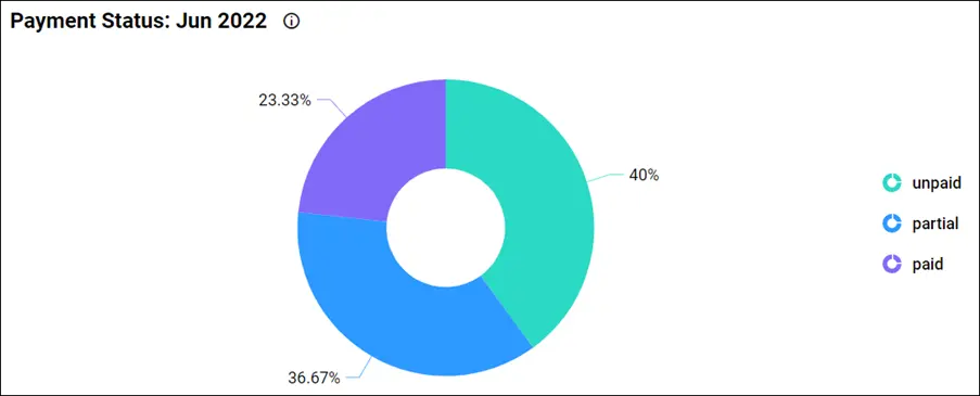 Payment Status: June 2022 in “Profit and Loss” Dashboard