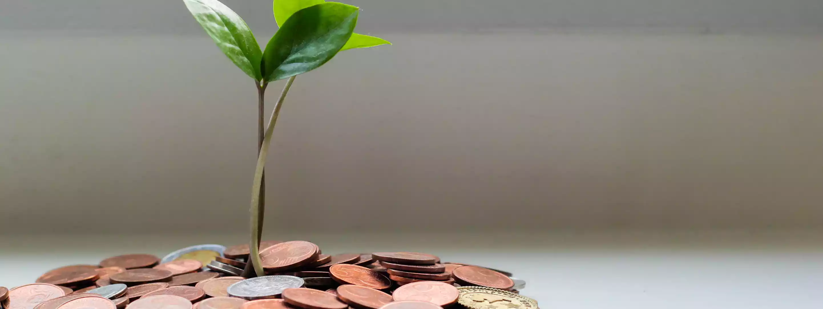 Increased revenue with proper financial administration