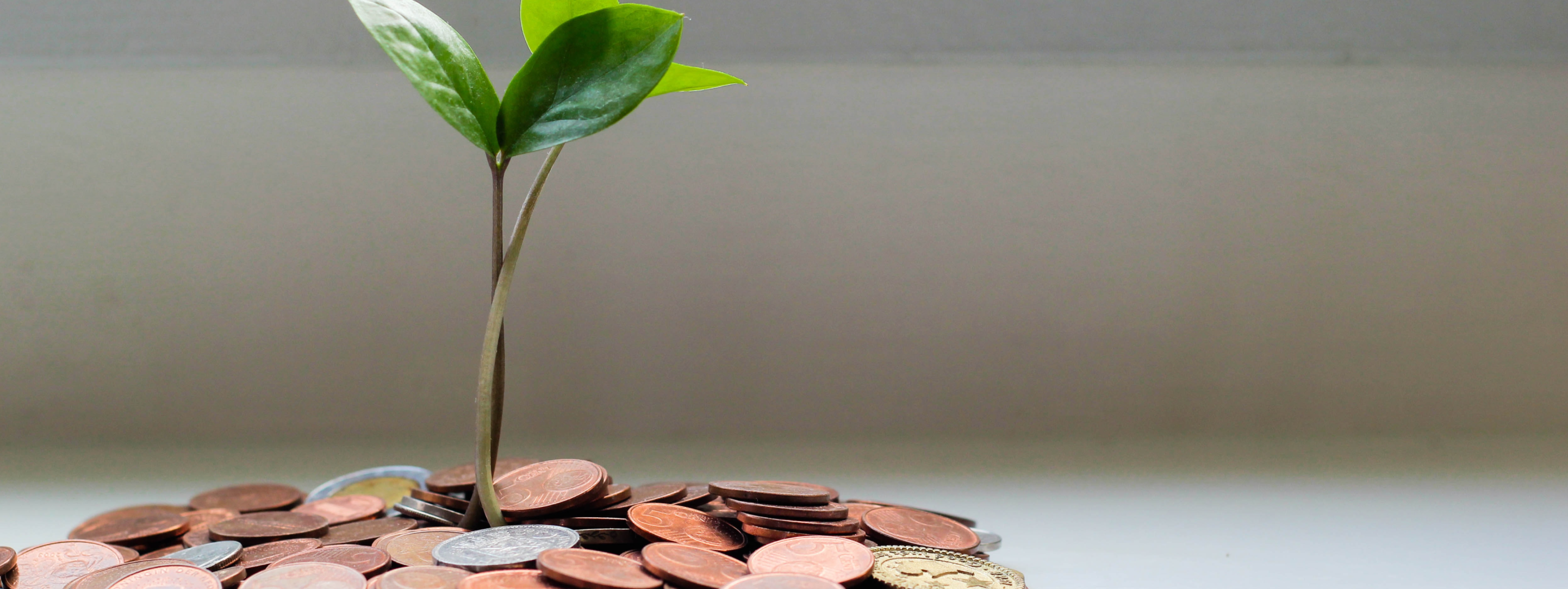 Increased revenue with proper financial administration